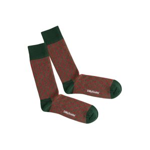 DillySocks Ponožky 'Red Lining'  zelená / červená