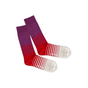 DillySocks Ponožky 'Heat Up'  béžová / fialová / červená