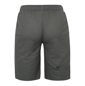 PUMA Sportovní kalhoty 'RTG Interlock Shorts 10`'  šedá