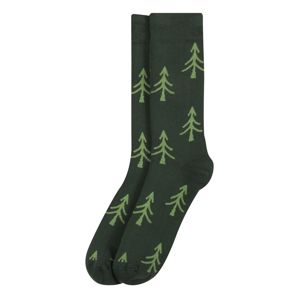 bleed clothing Ponožky 'Polar Tree'  světle zelená / tmavě zelená