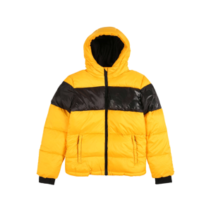Raizzed Zimní bunda 'Tacoma'  žlutá / černá