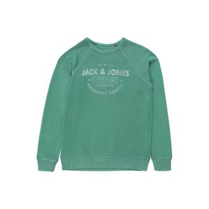 Jack & Jones Junior Mikina 'JJEJEANS WASHED SWEAT CREW NECK JR'  zelená